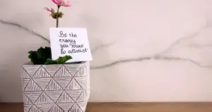 green plant in a white pot with a marble background and the sign be the energy you want to attract.